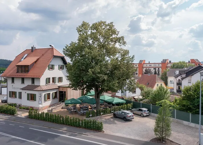 Goldammer Aschaffenburg
